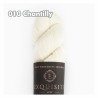 WYS - Exquisite 4ply