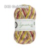 WYS - Signature 4ply - Country Birds Range