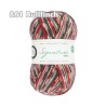 WYS - Signature 4ply - Country Birds Range