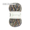 WYS - Signature 4ply - Country Birds Range