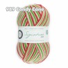 WYS - Signature 4ply - Christmas Collection ++neuer Farbton++