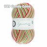 WYS - Signature 4ply - Christmas Collection