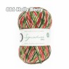 WYS - Signature 4ply - Christmas Collection ++neuer Farbton++