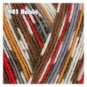 WYS - Signature 4ply - Christmas Collection ++neuer Farbton++