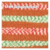 WYS - Signature 4ply - Christmas Collection ++neuer Farbton++