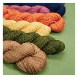 King Cole - Naturally Soft 4ply - 90 Stränge mit...