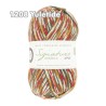 WYS - Signature 4ply - Christmas Collection
