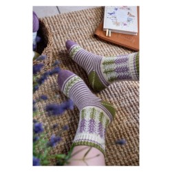 Cosy Socks - Anleitungsbuch von Brigitte Zimmermann