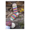 Cosy Socks - Anleitungsbuch von Brigitte Zimmermann