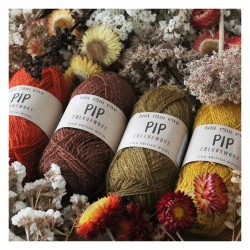 Baa Ram Ewe - Pip Colourwork 4ply