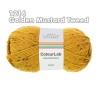 WYS - ColourLab ARAN - Tweed