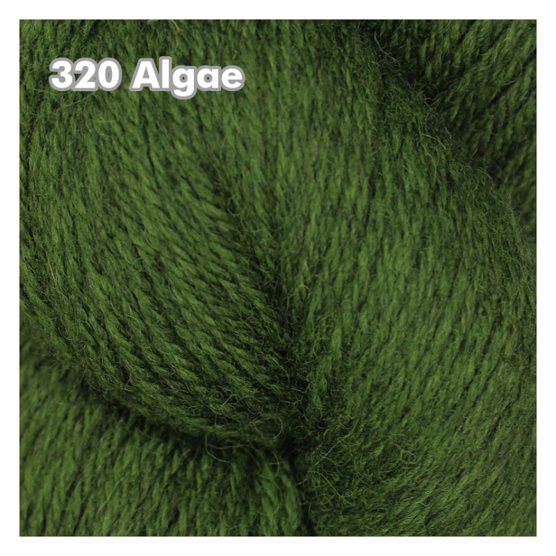 Baa Ram Ewe - Coast Aran