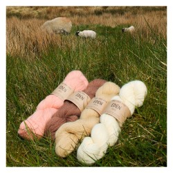 Baa Ram Ewe - Eden 4ply