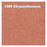 WYS - Morris DK ++ neue Farbtöne zur Vorbestellung ++