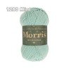 WYS - Morris ++Vorbestellung++