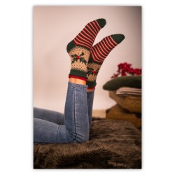 Jolly Socks - Anleitungsbuch für winterliche Socken ++Vorbestellung++